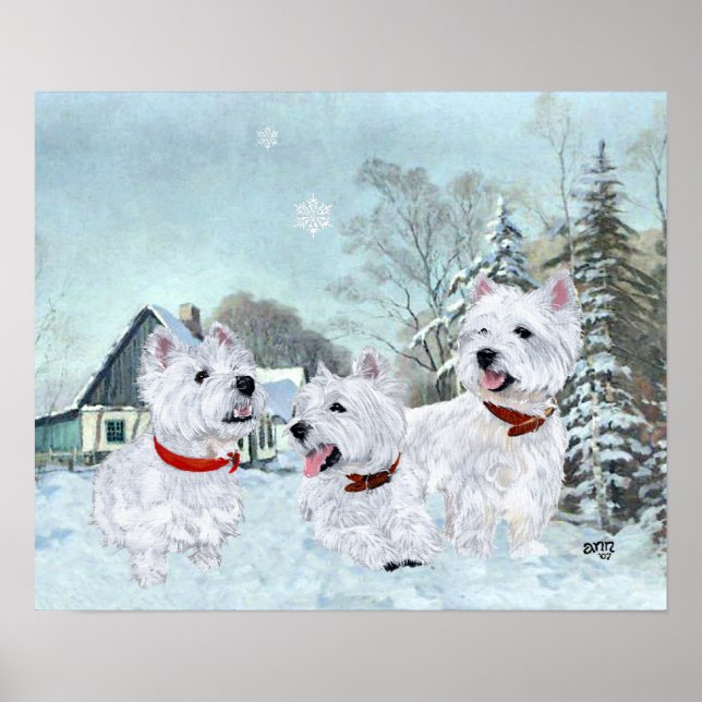 Poster Terriers Brancos do West Highland na Neve (Frente)