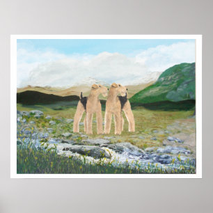 Póster Terriers na Irlanda