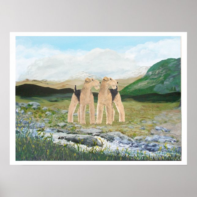 Póster Terriers na Irlanda (Frente)