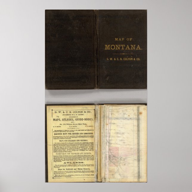 Poster Território de Montana (Frente)