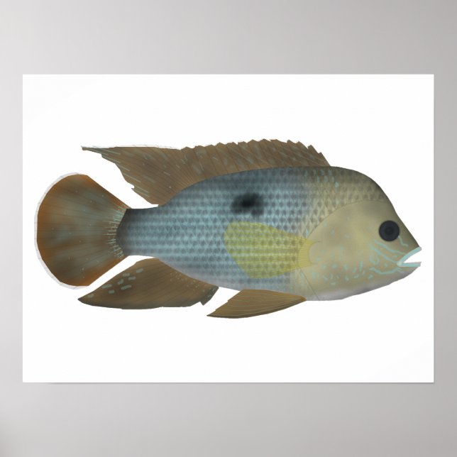 Poster Terror Verde (Frente)