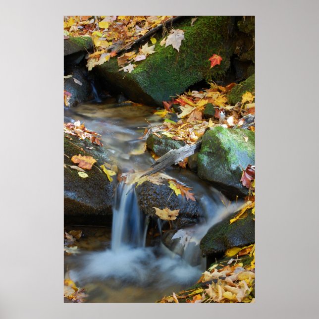 Póster Teskawata Falls (Frente)