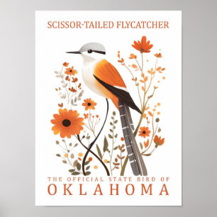 Poster Tesoura Tailed Flycatcher Bird de Oklahoma
