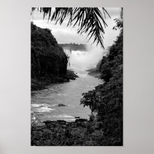 Póster Tesouro na selva