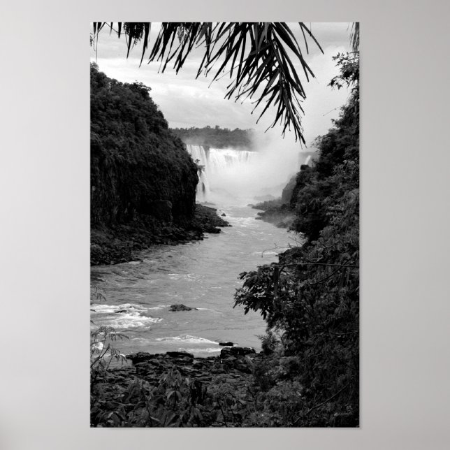 Póster Tesouro na Selva (Frente)