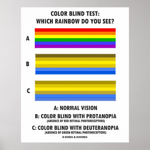 Poster Teste De Cores Cego Que Arco-Íris Você Vê?