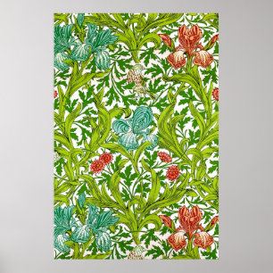 Poster Teste padrão floral do pássaro da íris de Willi