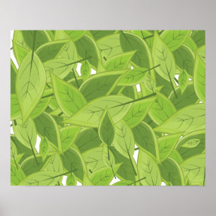 Póster Teste padrão verde das folhas