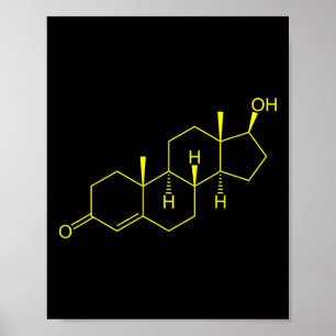 Poster Testosterona Molécula Biologia Ciência Construção