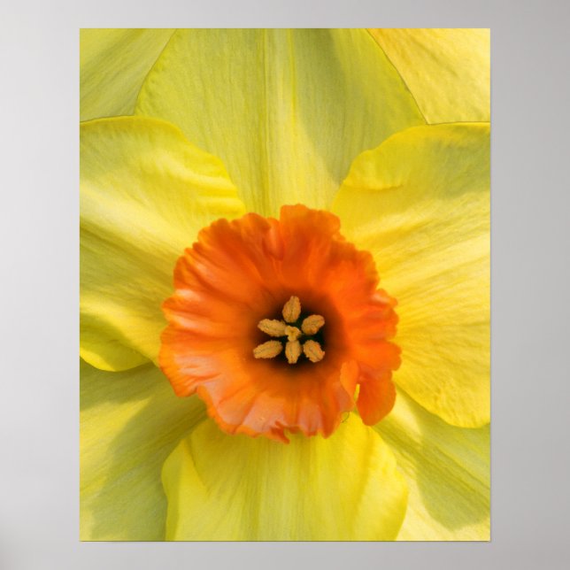 Poster Tête à tête (Frente)