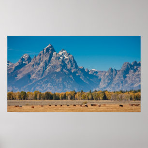 Póster Teton grande