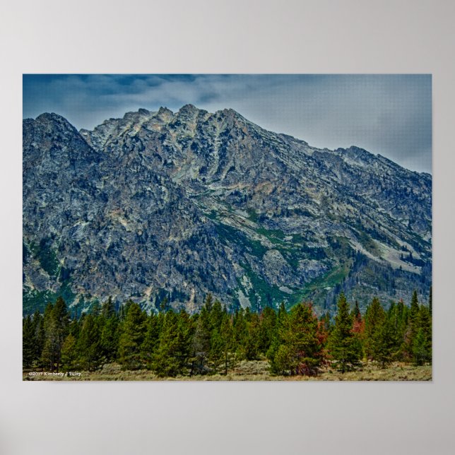 Póster Teton NP 6901 (Frente)