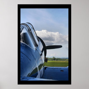 Póster Texan T-6