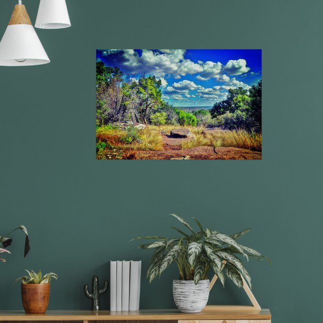 Poster Texas  (Sala de Estar 1)