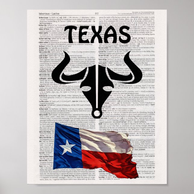 Poster TEXAS (Frente)