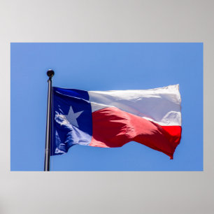 Póster Texas Flag