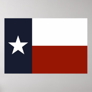 Poster Texas Flag