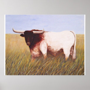 Póster Texas Longhorn