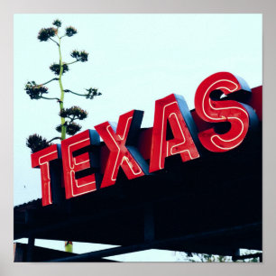 Poster Texas Red Neon Lights EUA