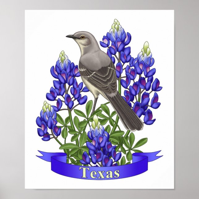 Póster Texas State Mockingbird & Bluebonnet Flower (Frente)