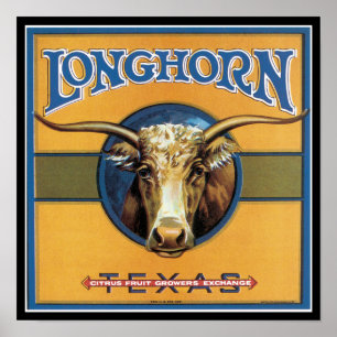 Póster Texas Steer Longhorn