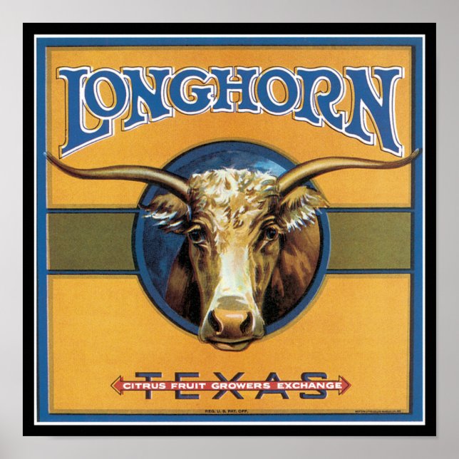 Póster Texas Steer Longhorn (Frente)