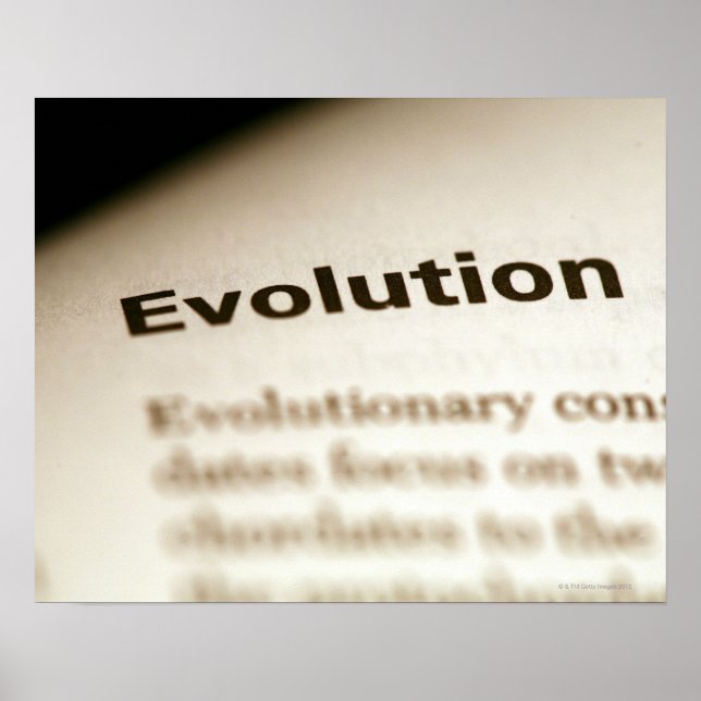 Póster Texto de evolução na página (Frente)
