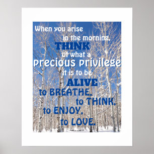 Poster Texto Personalizado Céu Azul Em Torno Aspende Na