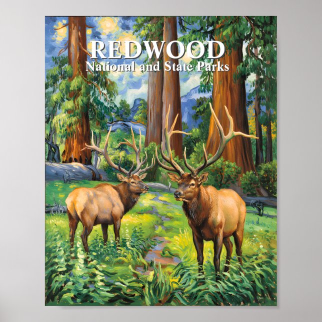 Poster Texto Personalizado Elk Redwood Califórnia Florest (Frente)