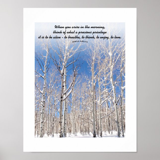 Poster Texto Personalizado Torre de Céu Azul Álamo na Nev (Frente)