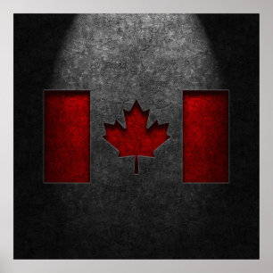 Poster Textura canadense da pedra da bandeira