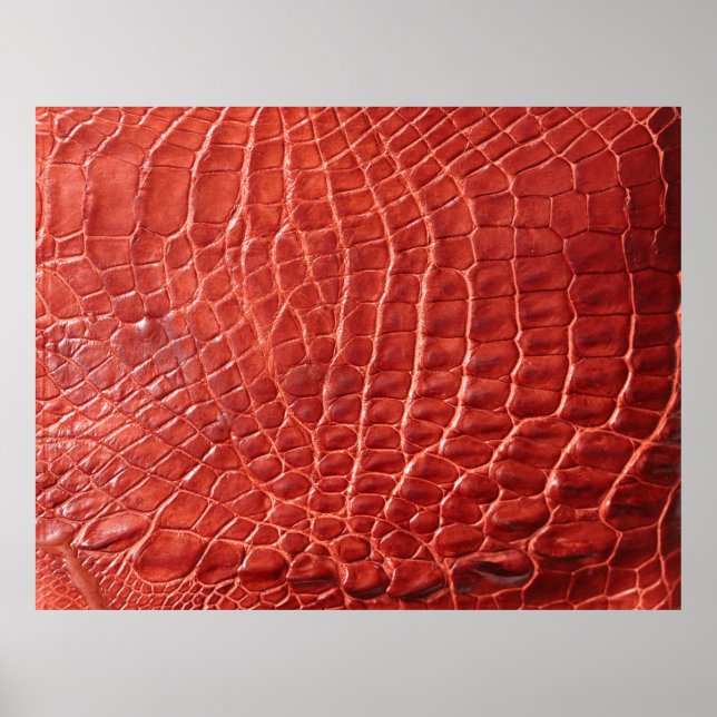 Poster Textura de couro crocodilo (Frente)