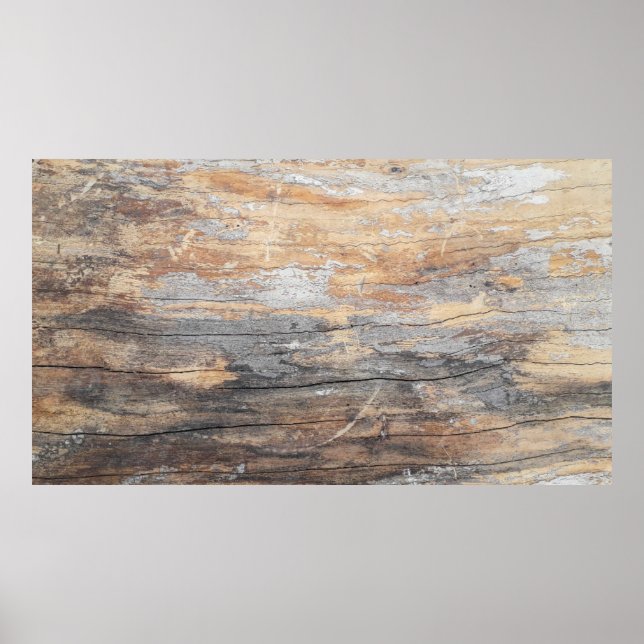 Poster textura de fundo, belo treeabstrato, (Frente)