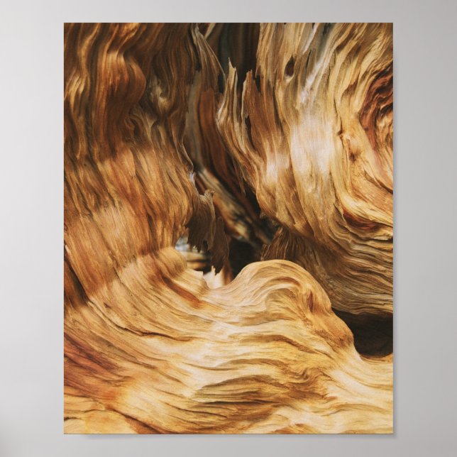 Poster textura de padrão de madeira antiga (Frente)