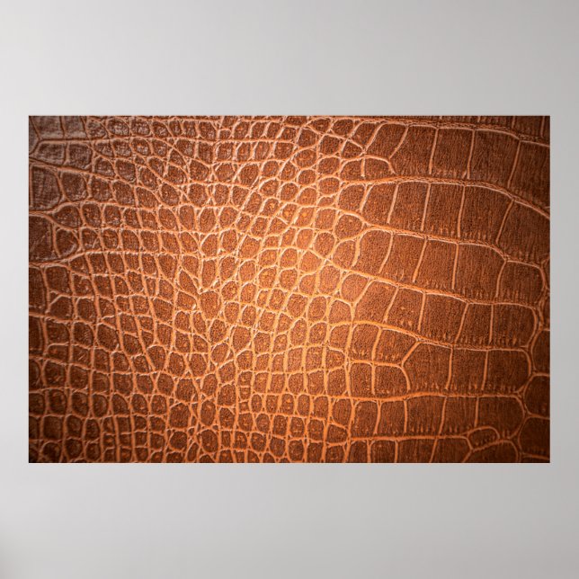Poster Textura de pele castanha em couro para fundo (Frente)