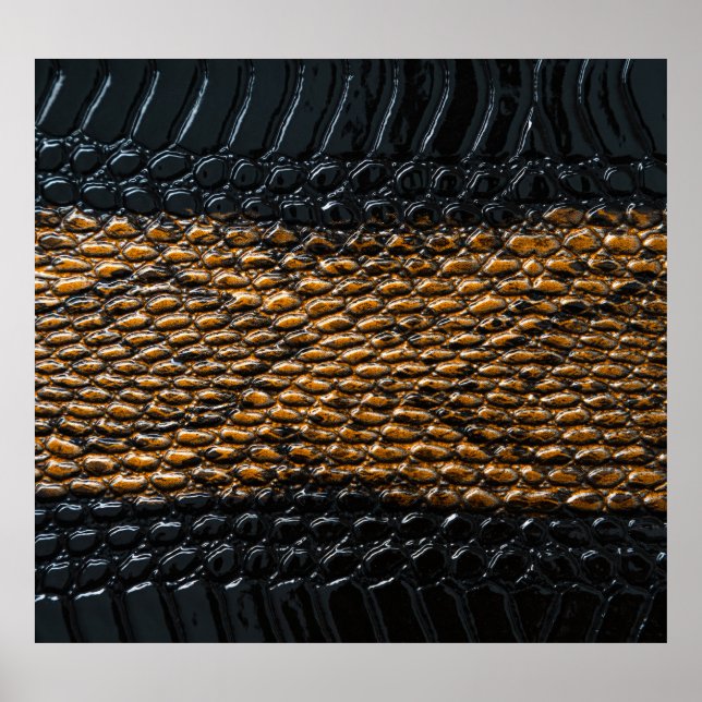 Poster Textura preta de cobra preto (Frente)