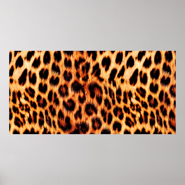 Poster Textura sem leopardo, peles de leopardo, ani afric (Frente)