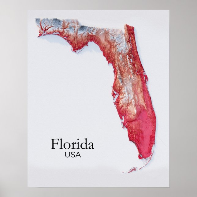 Poster Textura Vermelha do Mapa de Alivios da Flórida (Frente)