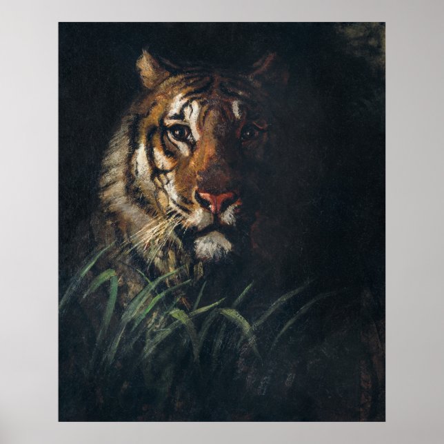 Poster Thayer's Tiger (Frente)