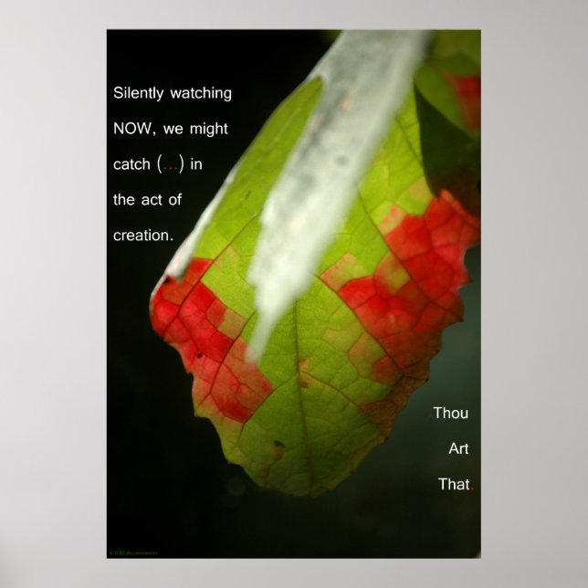 Póster The act of creation (Frente)