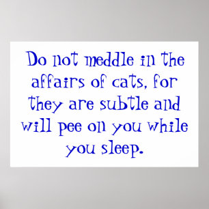 Poster The Affairs of Cats