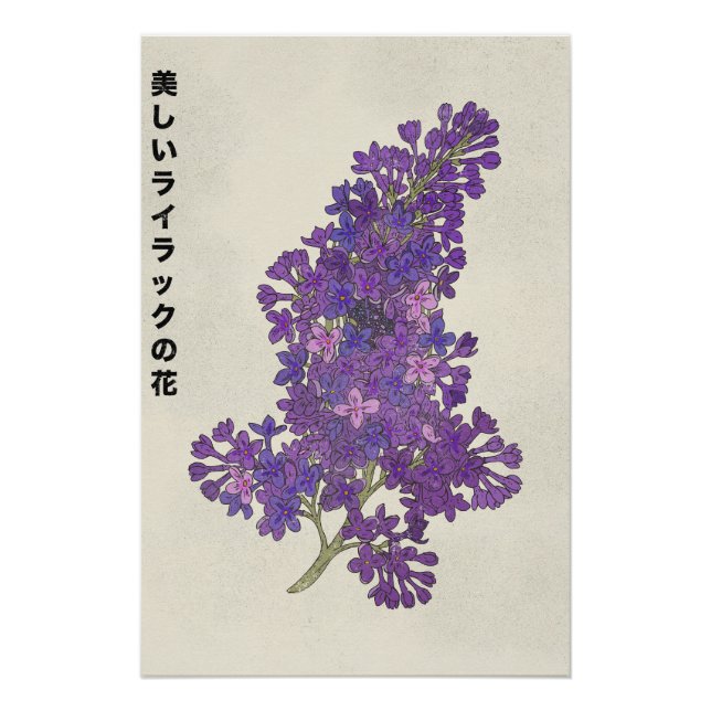 Póster The Beautiful Lilac Flower (Frente)