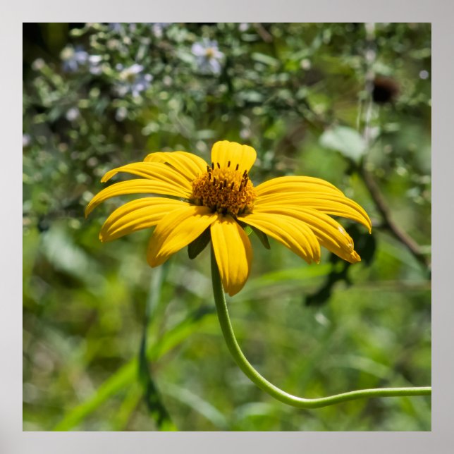 Poster The Bend Floral (Frente)