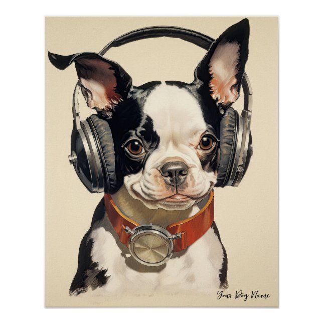 Póster The Boston Terrier Dog 003 - Odessa Leyendecker (Frente)