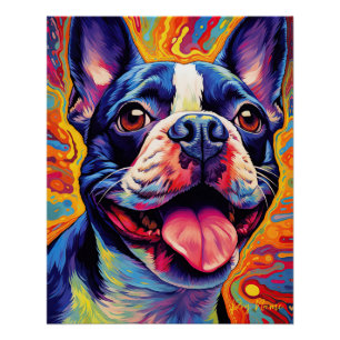 Póster The Boston Terrier Dog 004 - Zetton Ziana