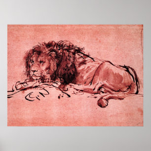 Poster THE CAPE LION LYING DOWN, by Rembrandt Pink Black
