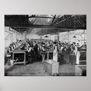 Póster The cigar manufacturing departments
