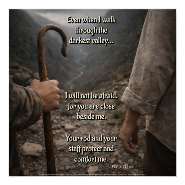 Póster The darkest valley (Frente)