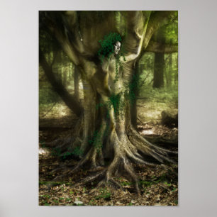 Poster The Dryad