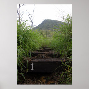 Póster The first step invites hikers up Koko Crater